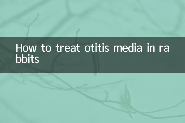 Come trattare l'otite media nei conigli