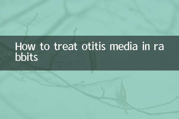 Come trattare l'otite media nei conigli