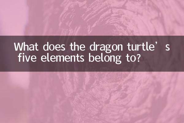 ¿A qué pertenecen los cinco elementos de la tortuga dragón?