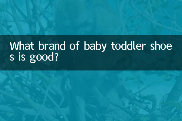 কোন ব্র্যান্ডের শিশুর বাচ্চাদের জুতা ভালো?