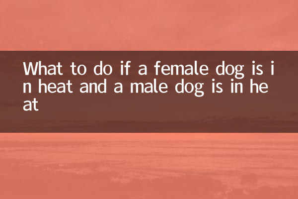 암컷 개는 발정기 상태이고 수컷 개는 발정기 상태인 경우 어떻게 해야 합니까?