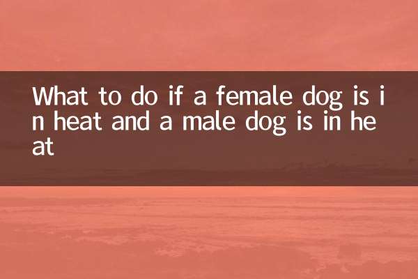 यदि मादा कुत्ता गर्मी में हो और नर कुत्ता गर्मी में हो तो क्या करें?