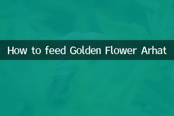 金花罗汉怎么喂