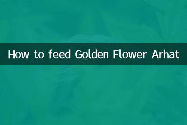 金花罗汉怎么喂