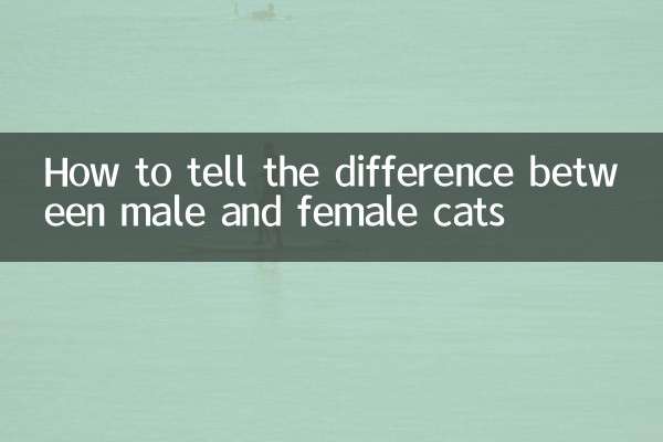 Wie erkennt man den Unterschied zwischen männlichen und weiblichen Katzen?