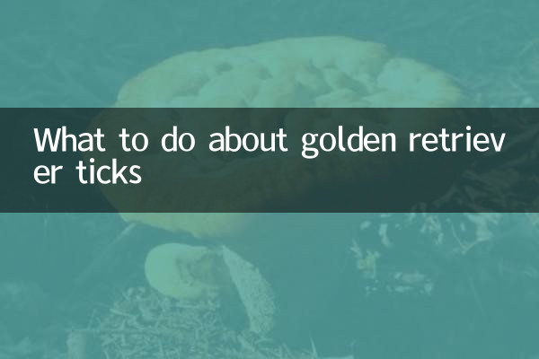 골든 리트리버 진드기 어떻게 해야 할까요?