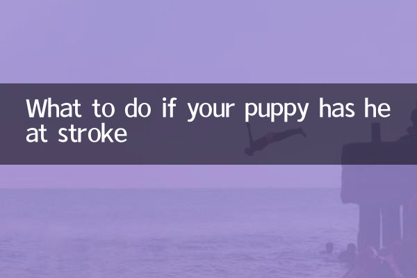 ماذا تفعل إذا كان جروك يعاني من ضربة شمس