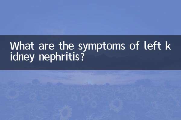 Was sind die Symptome einer Nephritis der linken Niere?