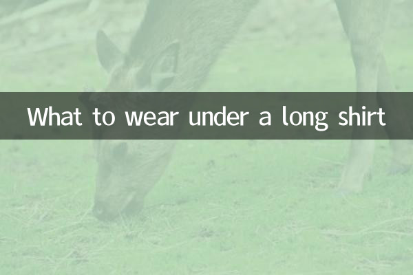 Что надеть под длинную рубашку