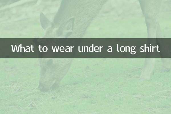 Что надеть под длинную рубашку