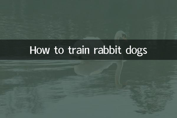 چگونه سگ خرگوش را تربیت کنیم