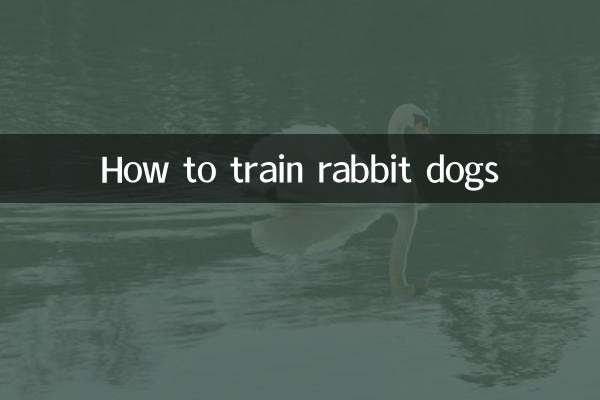 كيفية تدريب كلاب الأرانب