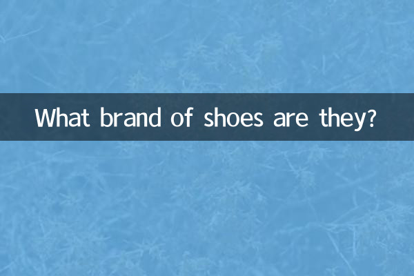 What brand of shoes are they?