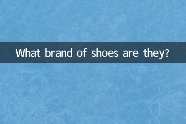 どこのブランドの靴ですか？