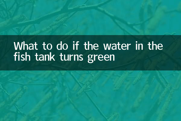 Qué hacer si el agua en la pecera se vuelve verde