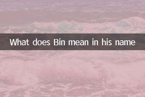Cosa significa bin nel suo nome