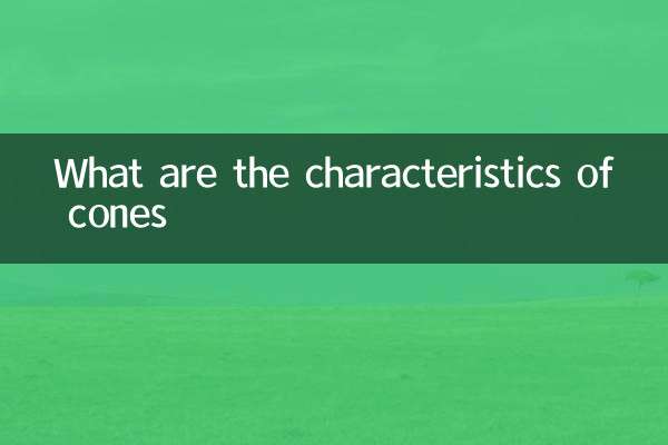 What are the characteristics of cones