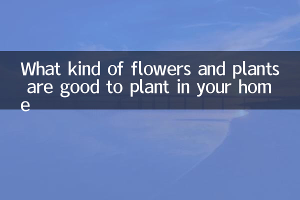 What flowers and plants are best to plant in your home