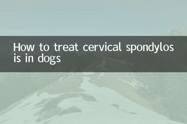 Cómo tratar la espondilosis cervical en perros