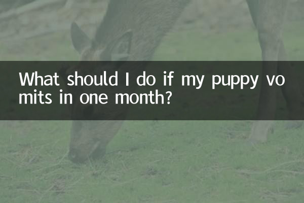 What should I do if my puppy vomits in one month?