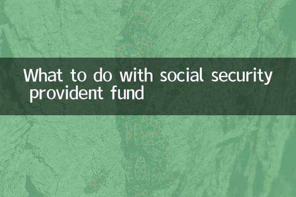 O que fazer com o fundo de previdência da previdência social