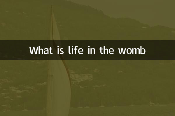Qu'est-ce que la vie dans l'utérus
