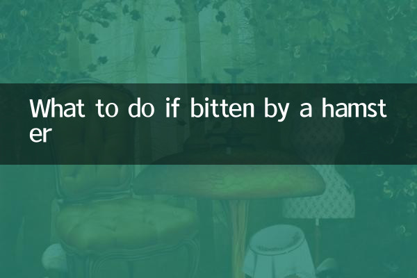 被倉鼠咬了怎麼辦
