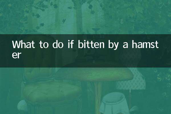 Что делать, если укусил хомяк