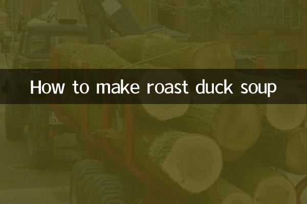 Comment faire une soupe de canard rôti