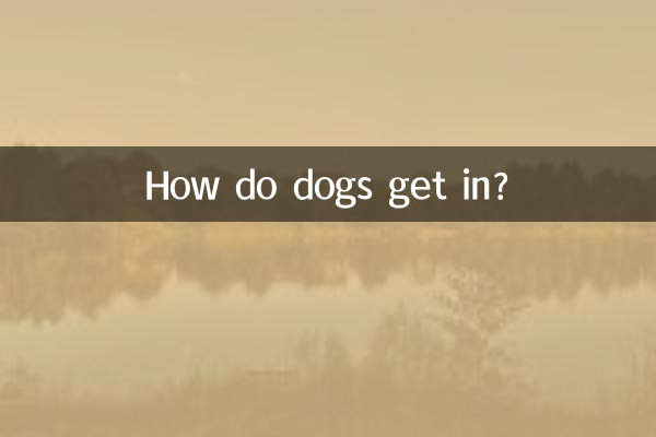 Wie kommen Hunde rein?