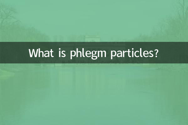 가래 입자란 무엇입니까?