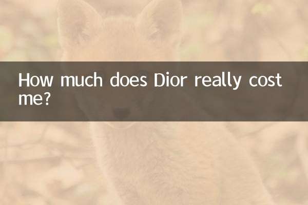 Dior সত্যিই আমার খরচ কত?