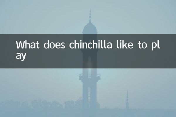 चिनचिला को क्या खेलना पसंद है