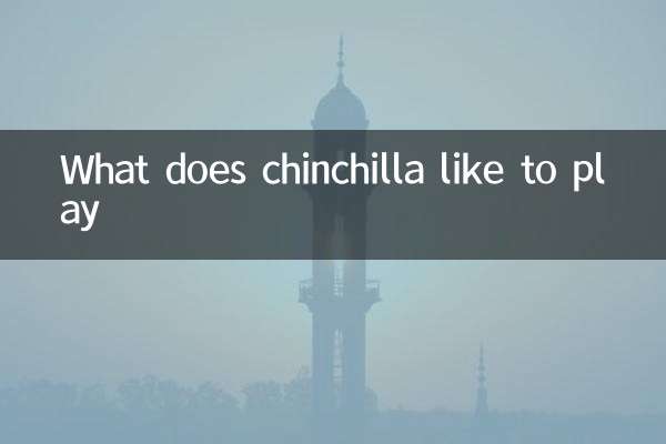 चिनचिला को क्या खेलना पसंद है