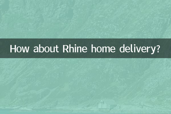 রাইন হোম ডেলিভারি সম্পর্কে কিভাবে?