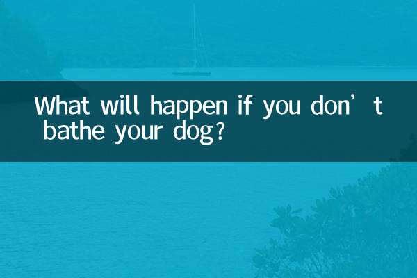Cosa succederà se non fai il bagno al tuo cane?