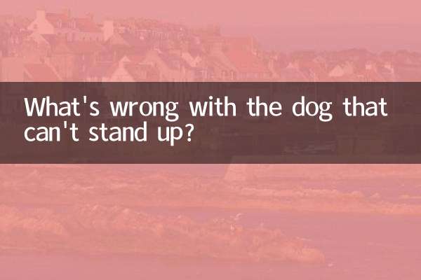 O que há de errado com o cachorro que não consegue ficar de pé?