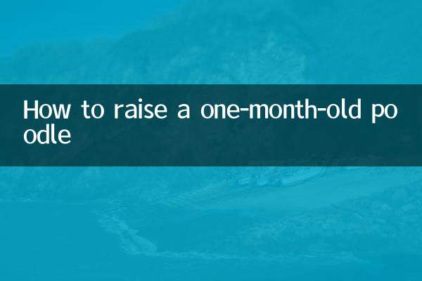 Cómo criar un caniche de un mes