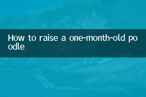 Cómo criar un caniche de un mes