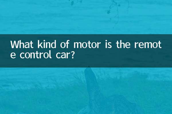 遥控车是什么电机