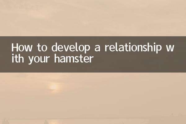 Comment développer une relation avec votre hamster