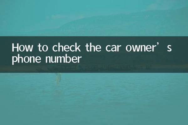 怎么查车主电话
