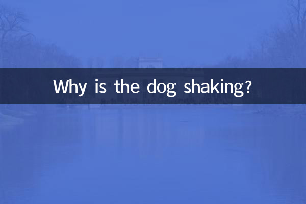لماذا يهز الكلب؟