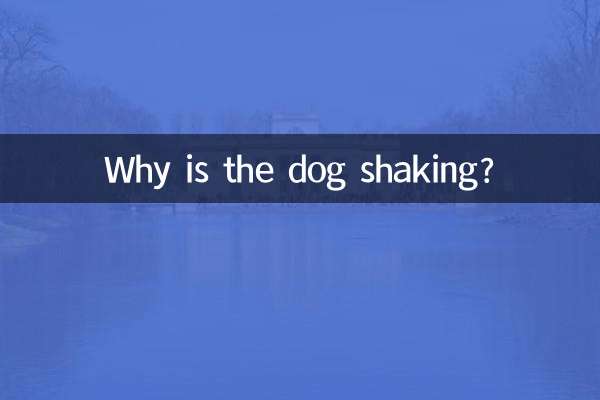 لماذا يهز الكلب؟