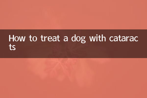 How to treat a dog with cataracts
