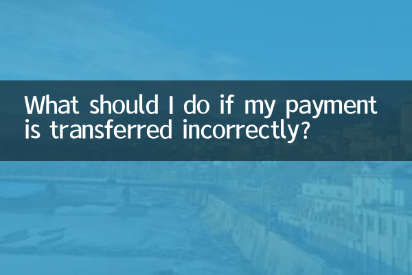 支払いが間違って振り込まれた場合はどうすればよいですか?