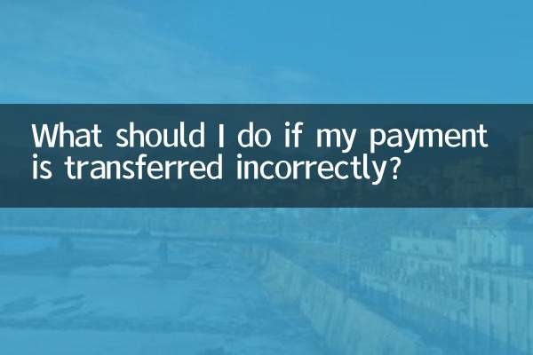 支払いが間違って振り込まれた場合はどうすればよいですか?