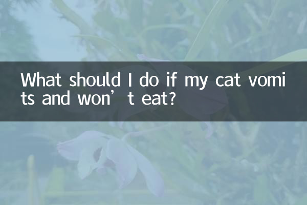 猫吐不吃东西怎么办