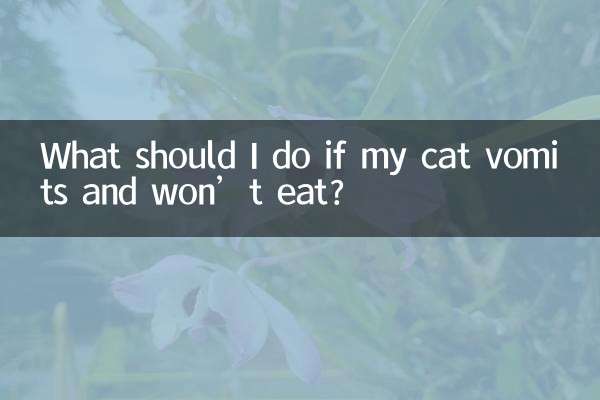 猫吐不吃东西怎么办