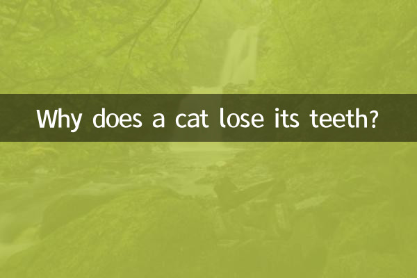 Por que um gato perde os dentes?